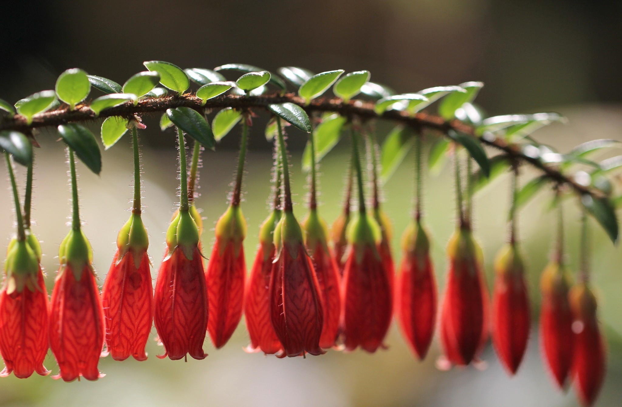 世界游泳接力队战术板块公开课上线,2020游泳接力